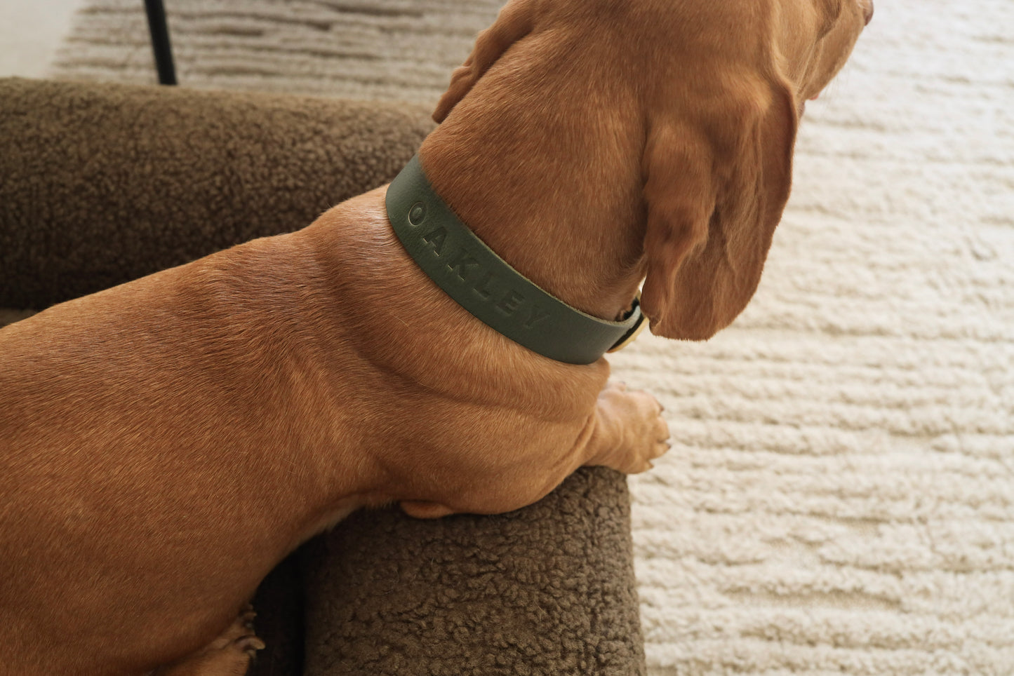 Personalised Collar - Olive