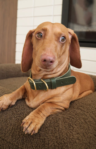 Walk Set - Olive