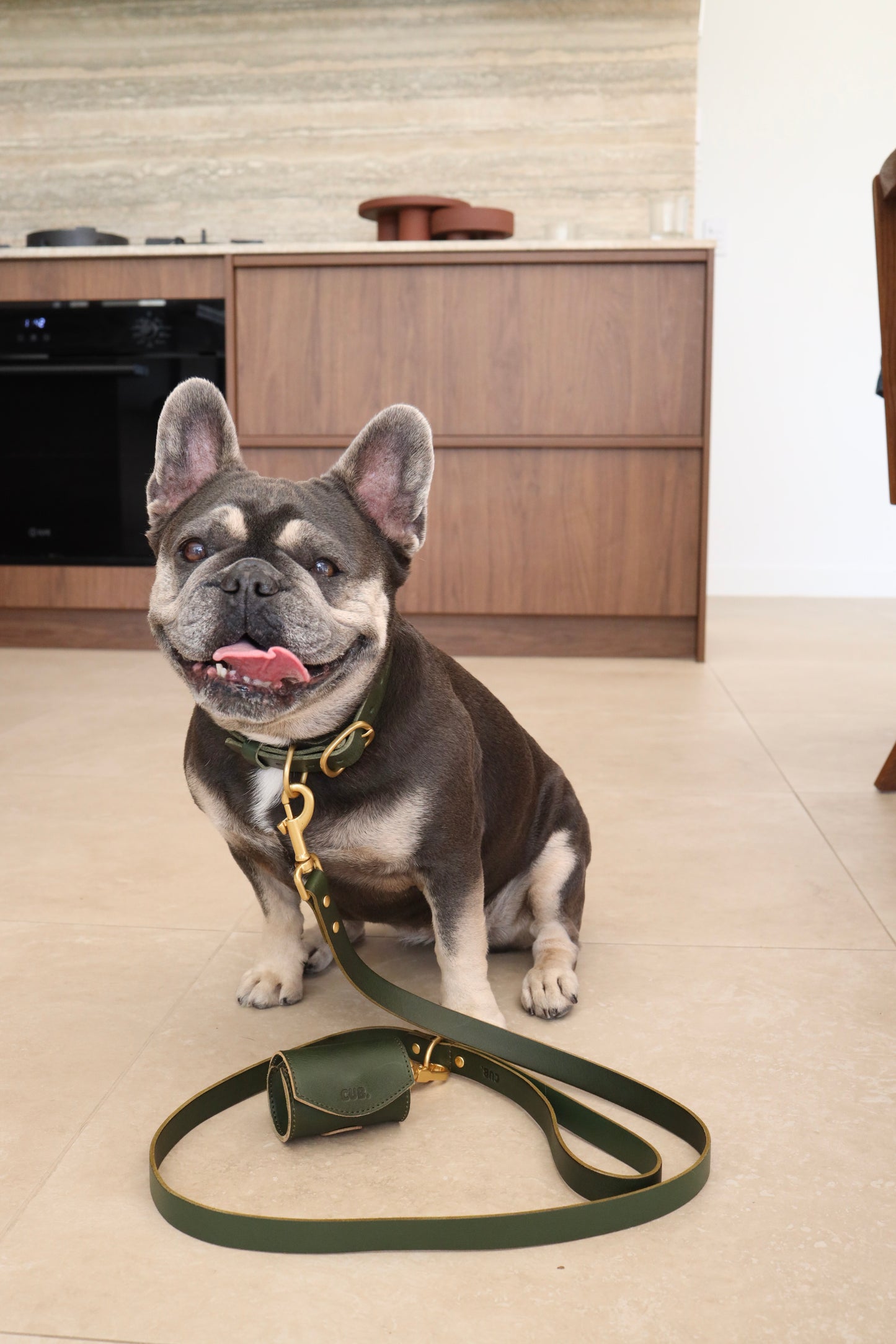 Personalised Collar - Olive