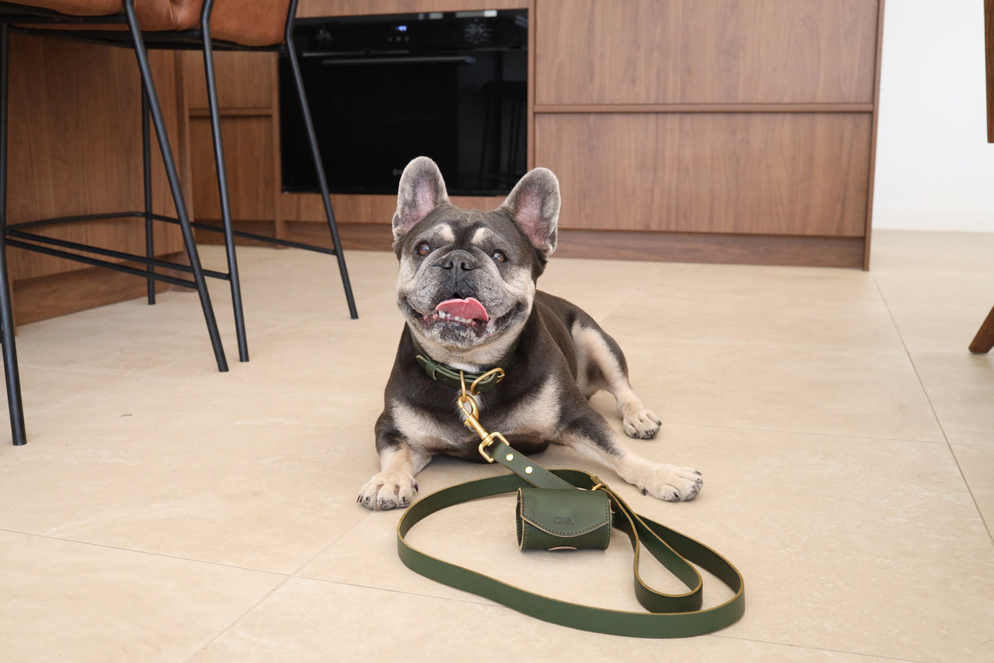 Bag Dispenser - Olive