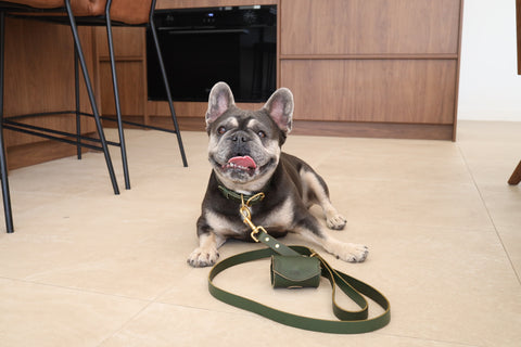 Bag Dispenser - Olive