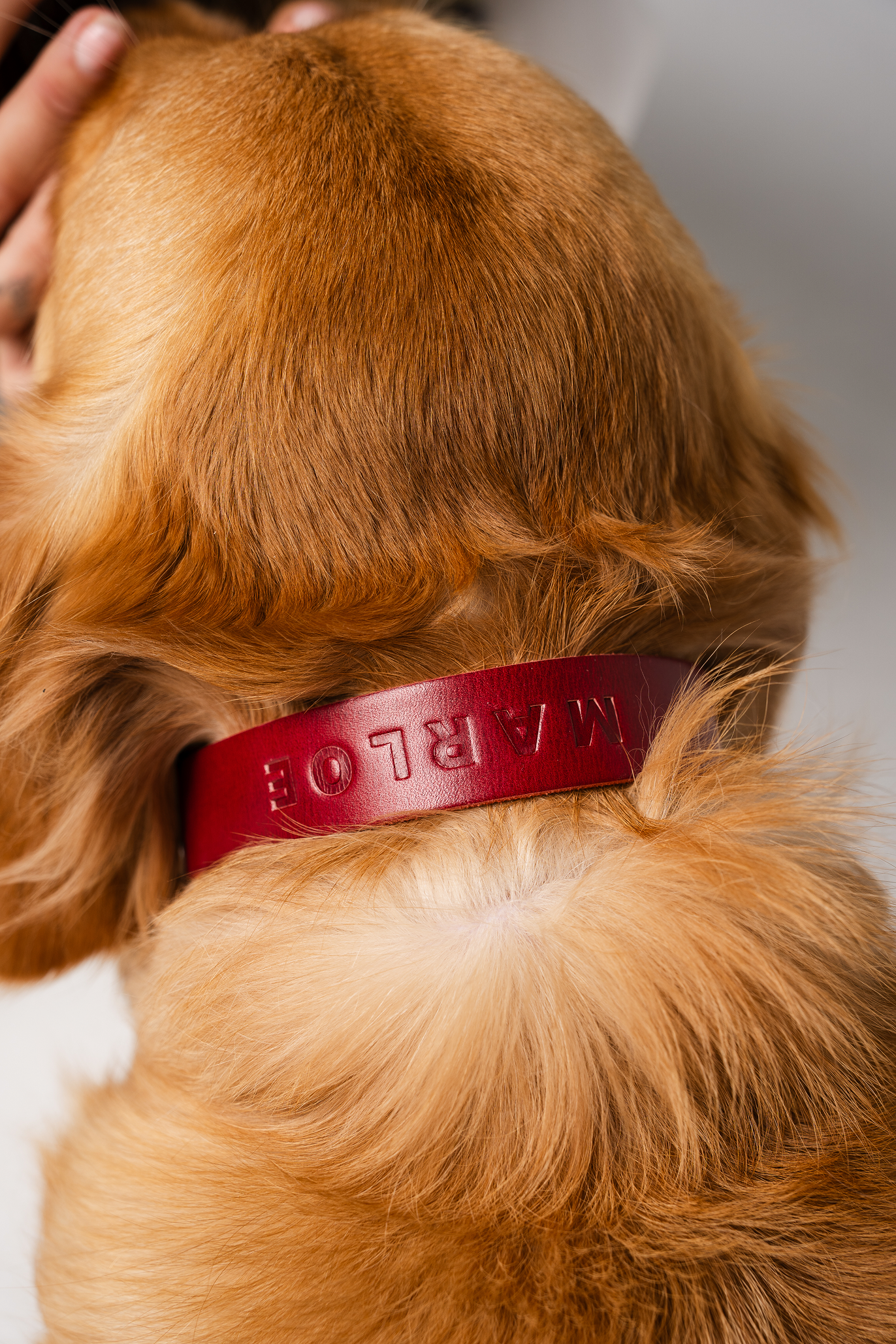 Personalised Collar - Cherry