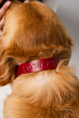 Personalised Collar - Cherry