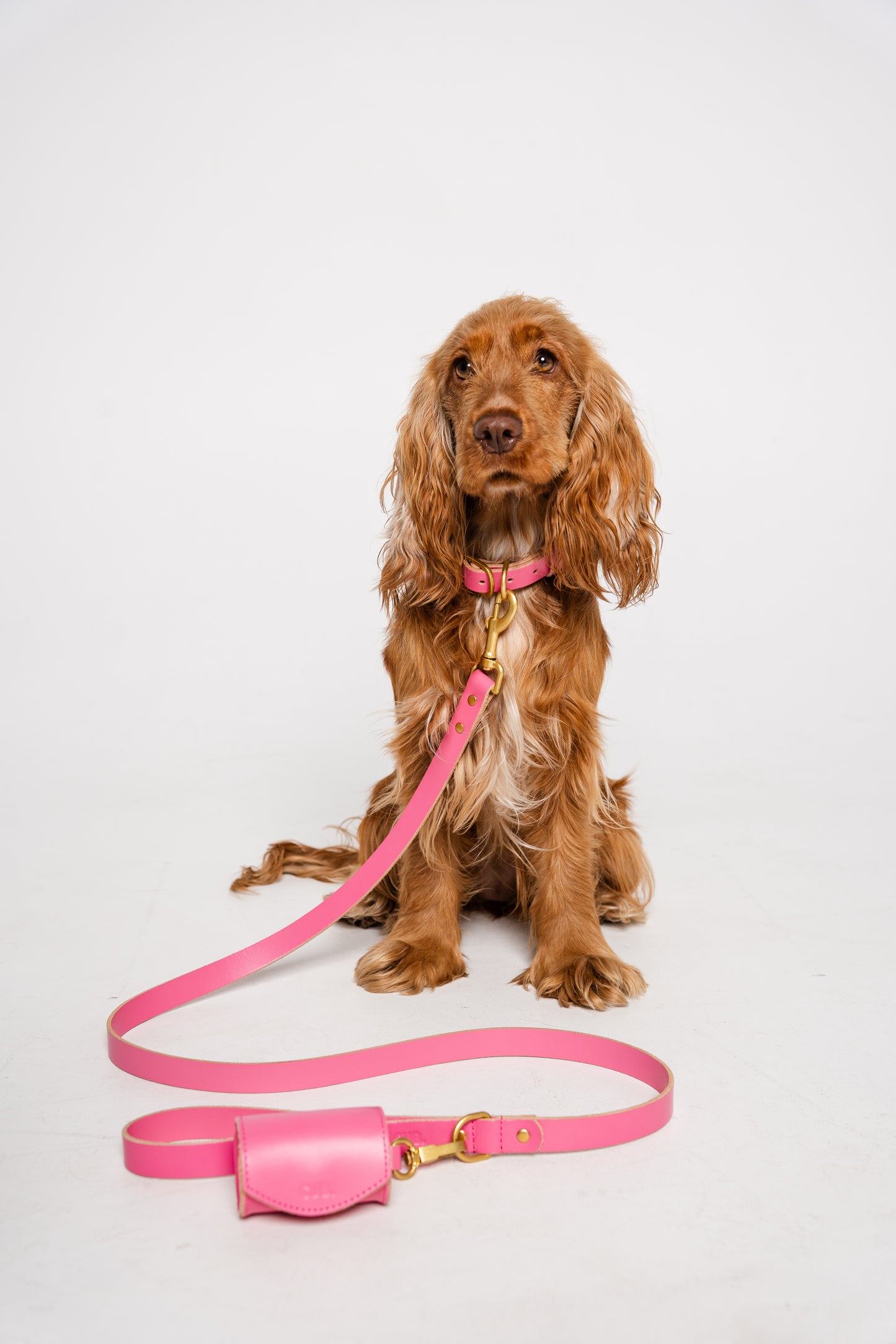 Complete Set - Bubblegum