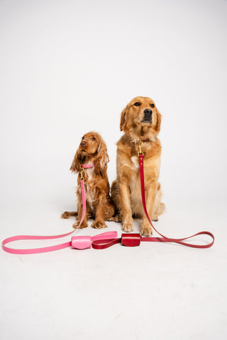 Leather Lead - Cherry