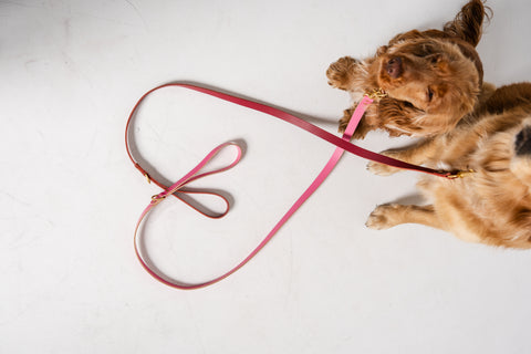 Leather Lead - Cherry