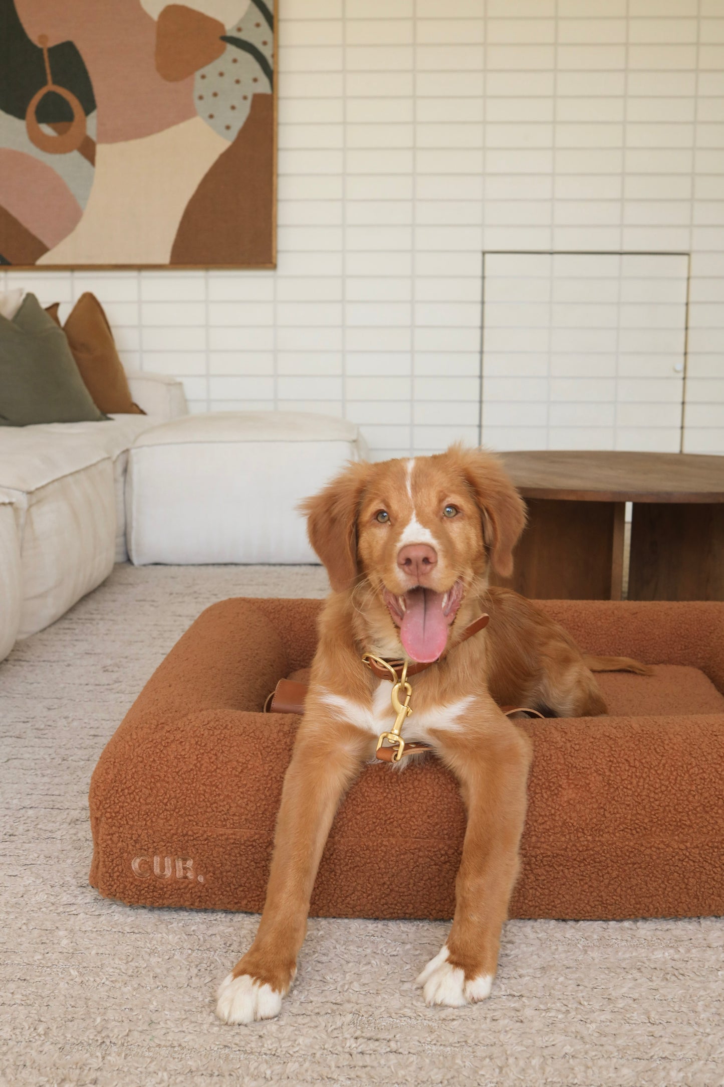 Leather Lead - Ochre