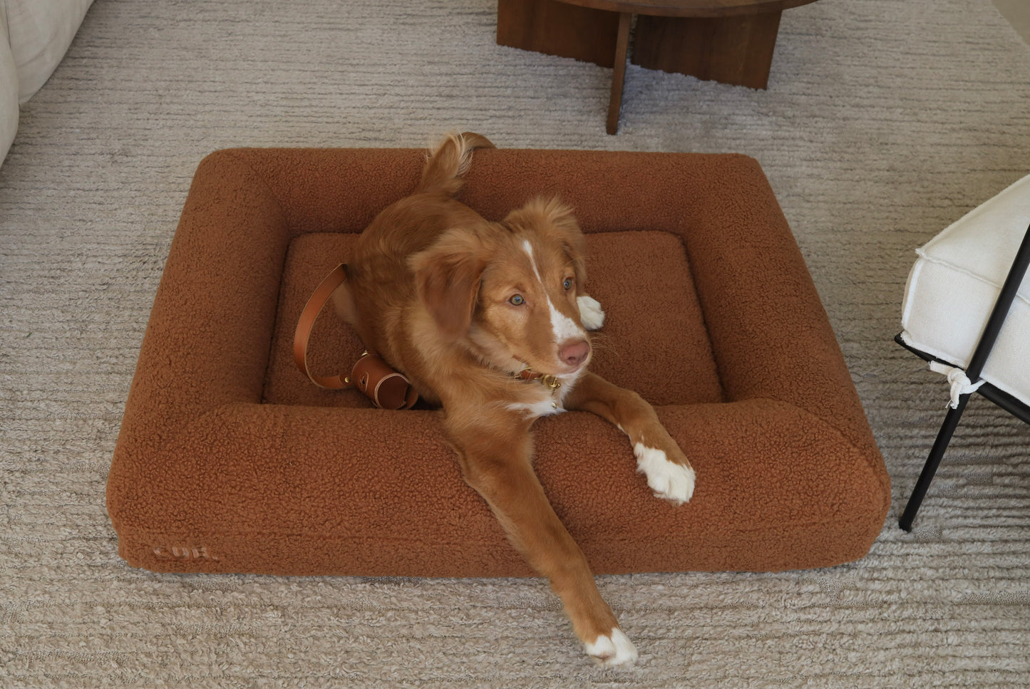 Leather Lead - Ochre