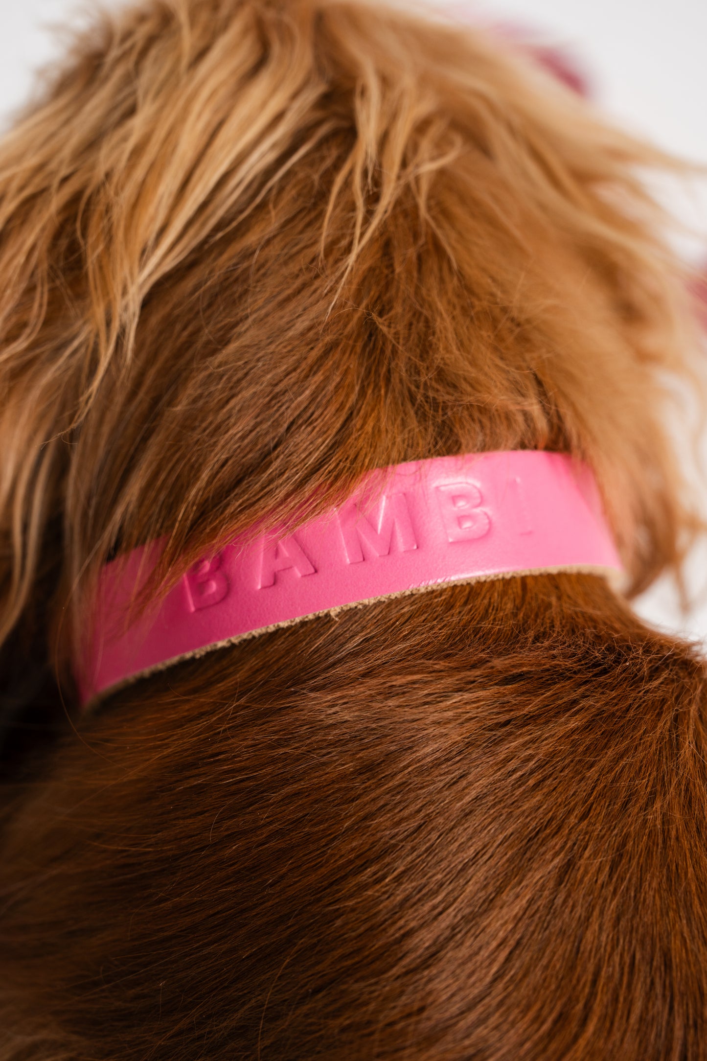 Personalised Collar - Bubblegum